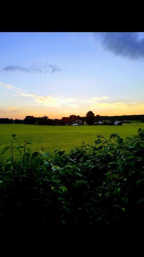 Ferienhof Oberhuber Staudach-Egerndach Zewnętrze zdjęcie