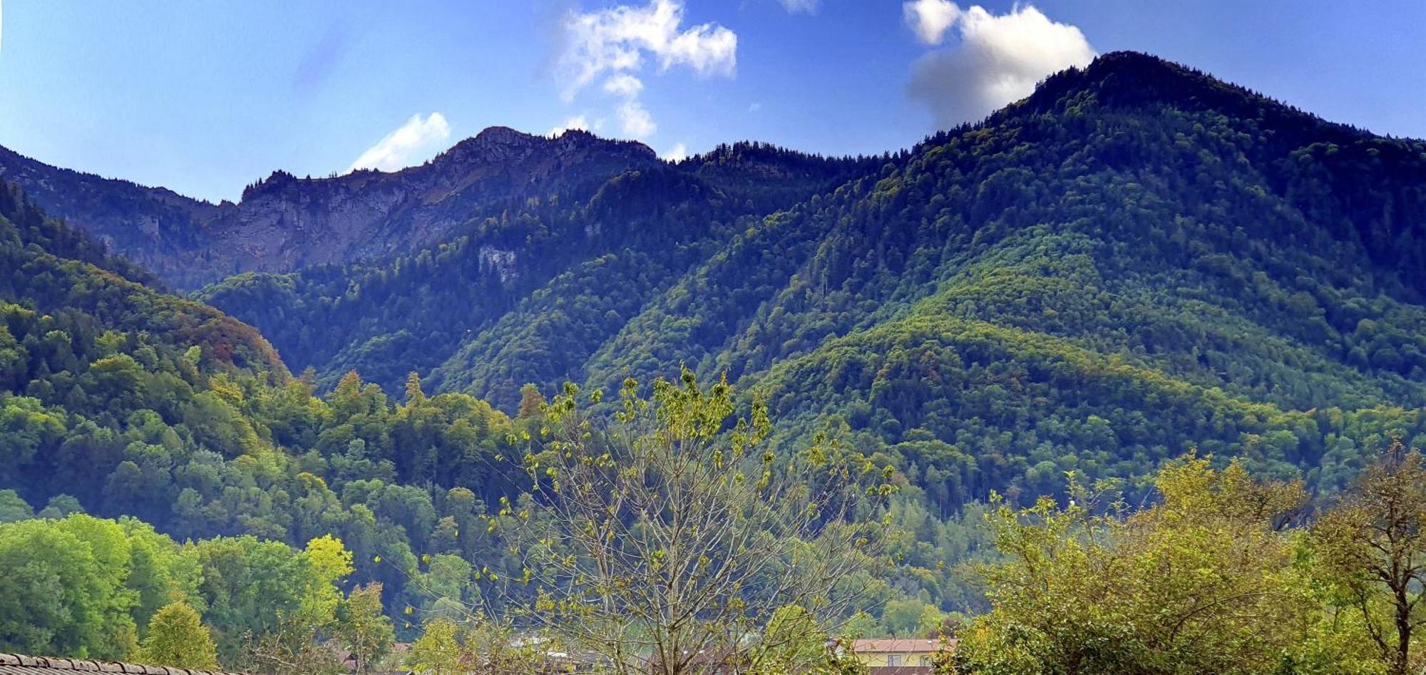 Ferienhof Oberhuber Staudach-Egerndach Zewnętrze zdjęcie